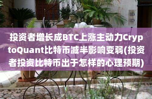 投资者增长成BTC上涨主动力CryptoQuant比特币减半影响变弱(投资者投资比特币出于怎样的心理预期)