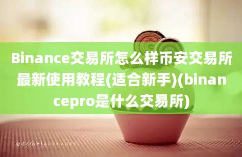 Binance交易所怎么样币安交易所最新使用教程(适合新手)(binancepro是什么交易所)