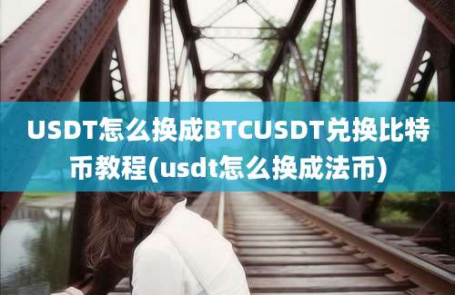 USDT怎么换成BTCUSDT兑换比特币教程(usdt怎么换成法币)