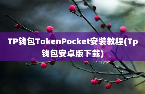 TP钱包TokenPocket安装教程(Tp钱包安卓版下载)