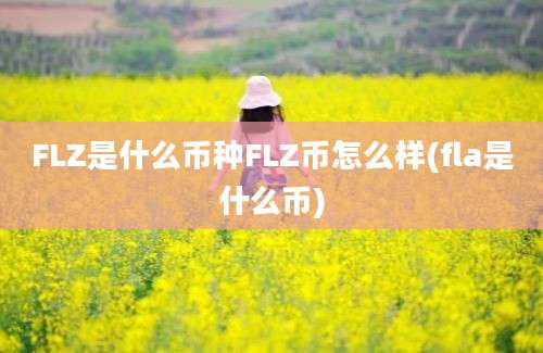 FLZ是什么币种FLZ币怎么样(fla是什么币)