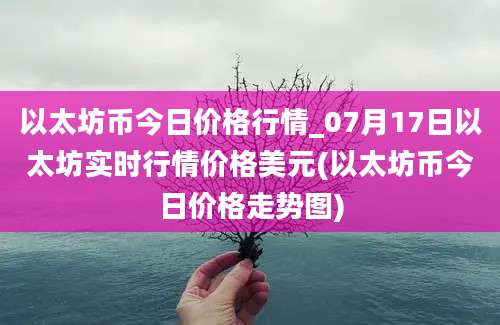 以太坊币今日价格行情_07月17日以太坊实时行情价格美元(以太坊币今日价格走势图)