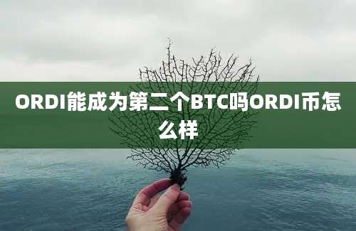 ORDI能成为第二个BTC吗ORDI币怎么样