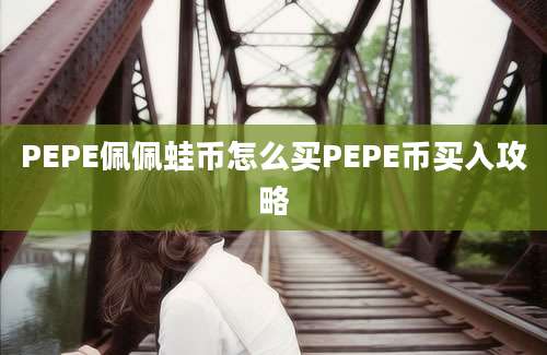 PEPE佩佩蛙币怎么买PEPE币买入攻略