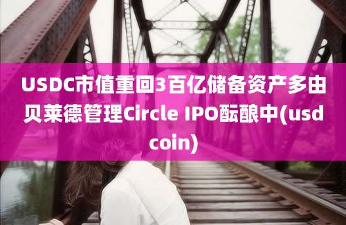 USDC市值重回3百亿储备资产多由贝莱德管理Circle IPO酝酿中(usdcoin)