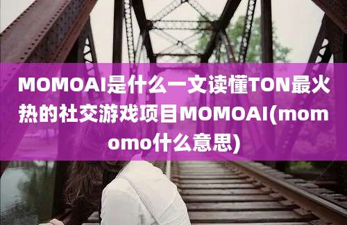 MOMOAI是什么一文读懂TON最火热的社交游戏项目MOMOAI(momomo什么意思)