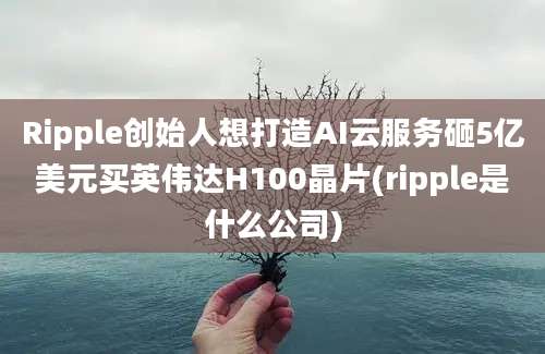 Ripple创始人想打造AI云服务砸5亿美元买英伟达H100晶片(ripple是什么公司)