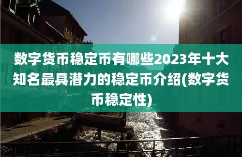 数字货币稳定币有哪些2023年十大知名最具潜力的稳定币介绍(数字货币稳定性)