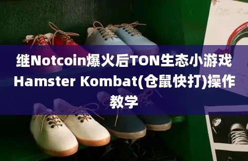 继Notcoin爆火后TON生态小游戏Hamster Kombat(仓鼠快打)操作教学