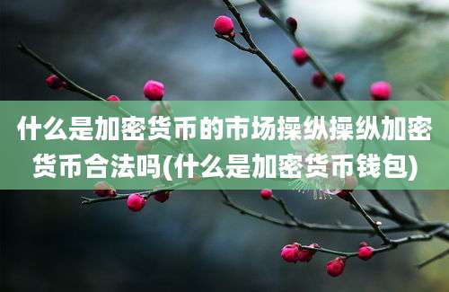 什么是加密货币的市场操纵操纵加密货币合法吗(什么是加密货币钱包)