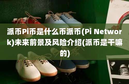 派币Pi币是什么币派币(Pi Network)未来前景及风险介绍(派币是干嘛的)