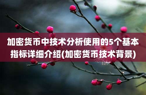 加密货币中技术分析使用的5个基本指标详细介绍(加密货币技术背景)