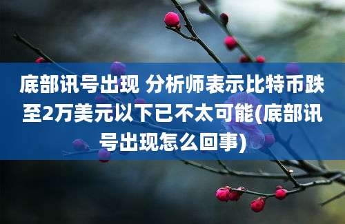 底部讯号出现 分析师表示比特币跌至2万美元以下已不太可能(底部讯号出现怎么回事)