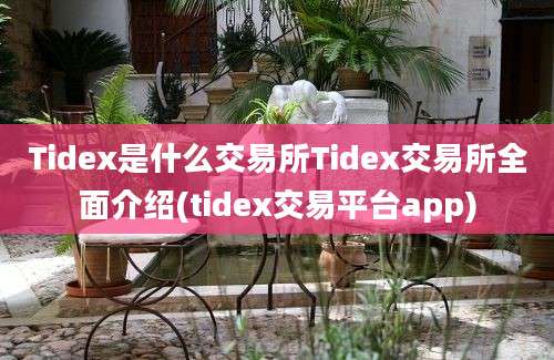 Tidex是什么交易所Tidex交易所全面介绍(tidex交易平台app)