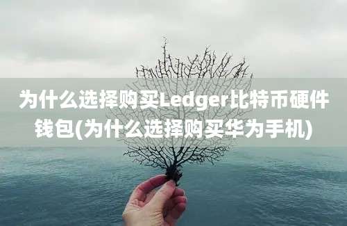 为什么选择购买Ledger比特币硬件钱包(为什么选择购买华为手机)