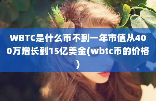 WBTC是什么币不到一年市值从400万增长到15亿美金(wbtc币的价格)