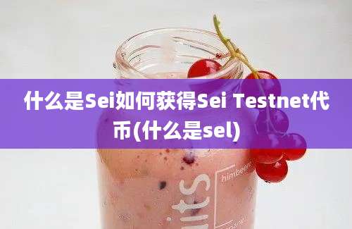 什么是Sei如何获得Sei Testnet代币(什么是sel)