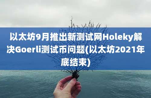 以太坊9月推出新测试网Holeky解决Goerli测试币问题(以太坊2021年底结束)