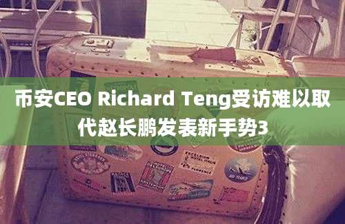 币安CEO Richard Teng受访难以取代赵长鹏发表新手势3