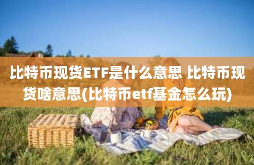 比特币现货ETF是什么意思 比特币现货啥意思(比特币etf基金怎么玩)