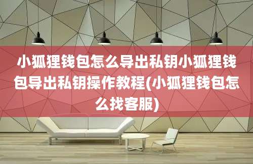 小狐狸钱包怎么导出私钥小狐狸钱包导出私钥操作教程(小狐狸钱包怎么找客服)