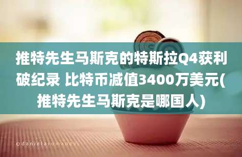 推特先生马斯克的特斯拉Q4获利破纪录 比特币减值3400万美元(推特先生马斯克是哪国人)