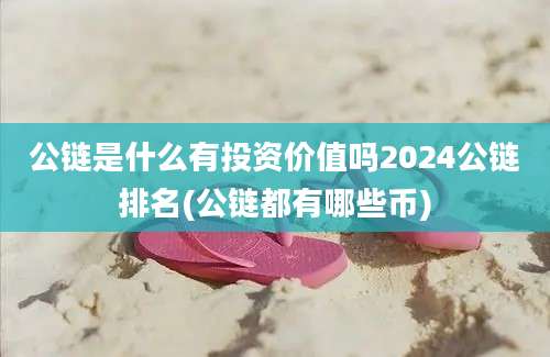 公链是什么有投资价值吗2024公链排名(公链都有哪些币)