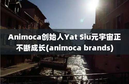 Animoca创始人Yat Siu元宇宙正不断成长(animoca brands)