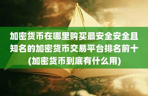 加密货币在哪里购买最安全安全且知名的加密货币交易平台排名前十(加密货币到底有什么用)