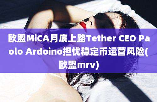 欧盟MiCA月底上路Tether CEO Paolo Ardoino担忧稳定币运营风险(欧盟mrv)