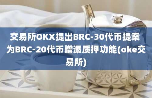 交易所OKX提出BRC-30代币提案 为BRC-20代币增添质押功能(oke交易所)