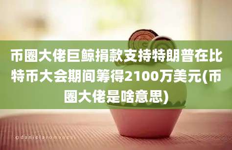 币圈大佬巨鲸捐款支持特朗普在比特币大会期间筹得2100万美元(币圈大佬是啥意思)