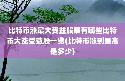 比特币涨最大受益股票有哪些比特币大涨受益股一览(比特币涨到最高是多少)