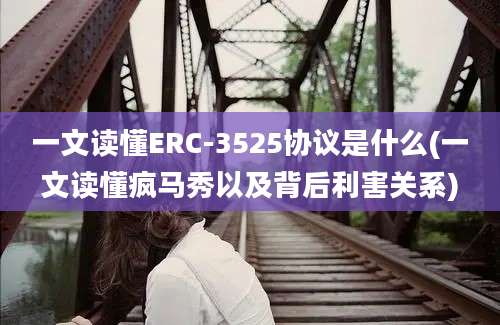 一文读懂ERC-3525协议是什么(一文读懂疯马秀以及背后利害关系)