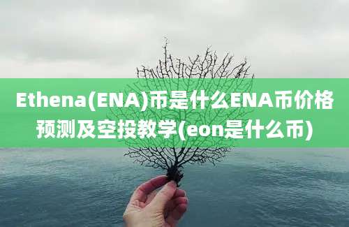 Ethena(ENA)币是什么ENA币价格预测及空投教学(eon是什么币)