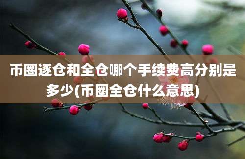 币圈逐仓和全仓哪个手续费高分别是多少(币圈全仓什么意思)