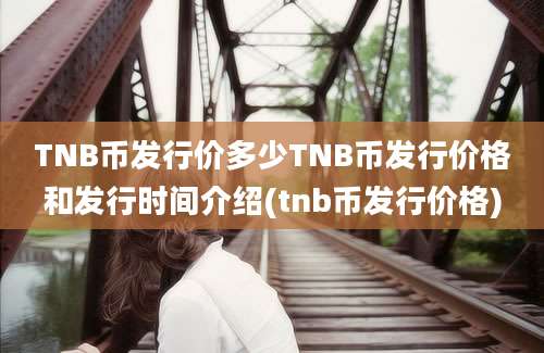 TNB币发行价多少TNB币发行价格和发行时间介绍(tnb币发行价格)