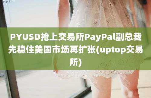 PYUSD抢上交易所PayPal副总裁先稳住美国市场再扩张(uptop交易所)