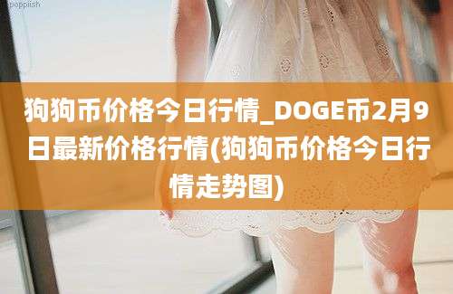 狗狗币价格今日行情_DOGE币2月9日最新价格行情(狗狗币价格今日行情走势图)