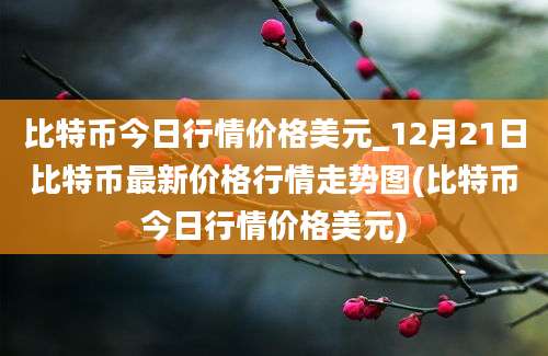 比特币今日行情价格美元_12月21日比特币最新价格行情走势图(比特币今日行情价格美元)