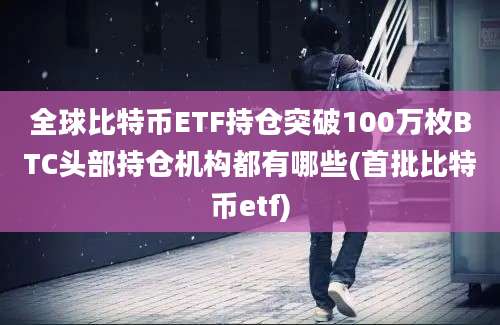 全球比特币ETF持仓突破100万枚BTC头部持仓机构都有哪些(首批比特币etf)