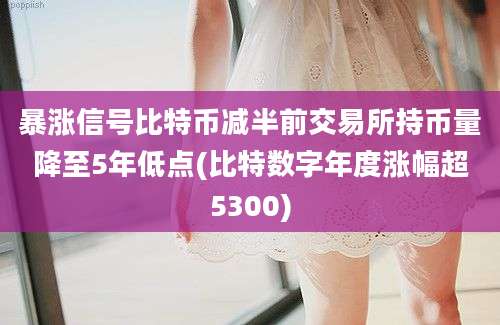 暴涨信号比特币减半前交易所持币量降至5年低点(比特数字年度涨幅超5300)