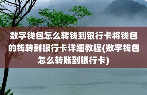 数字钱包怎么转钱到银行卡将钱包的钱转到银行卡详细教程(数字钱包怎么转账到银行卡)