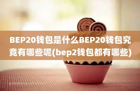 BEP20钱包是什么BEP20钱包究竟有哪些呢(bep2钱包都有哪些)