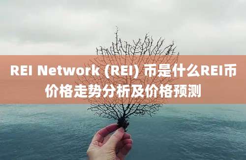 REI Network (REI) 币是什么REI币价格走势分析及价格预测