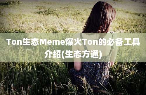 Ton生态Meme爆火Ton的必备工具介绍(生态方通)