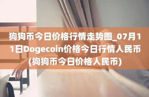 狗狗币今日价格行情走势图_07月11日Dogecoin价格今日行情人民币(狗狗币今日价格人民币)