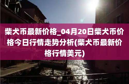 柴犬币最新价格_04月20日柴犬币价格今日行情走势分析(柴犬币最新价格行情美元)