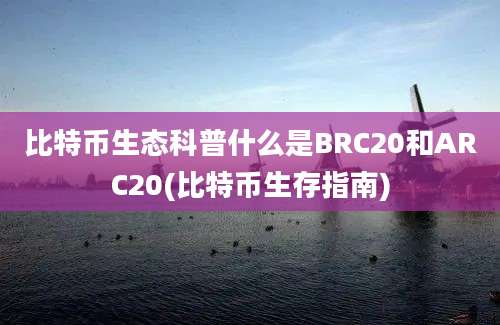 比特币生态科普什么是BRC20和ARC20(比特币生存指南)