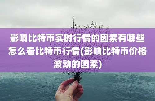 影响比特币实时行情的因素有哪些怎么看比特币行情(影响比特币价格波动的因素)